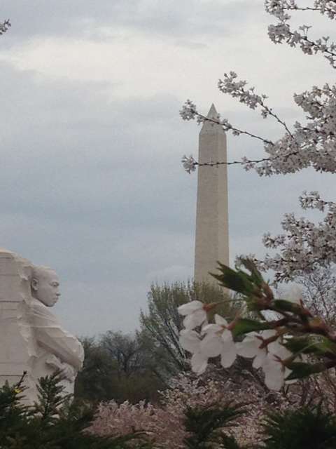 MLK Memorial Opening Hours